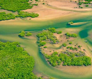 Senegal 